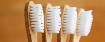 bamboo eco toothbrush