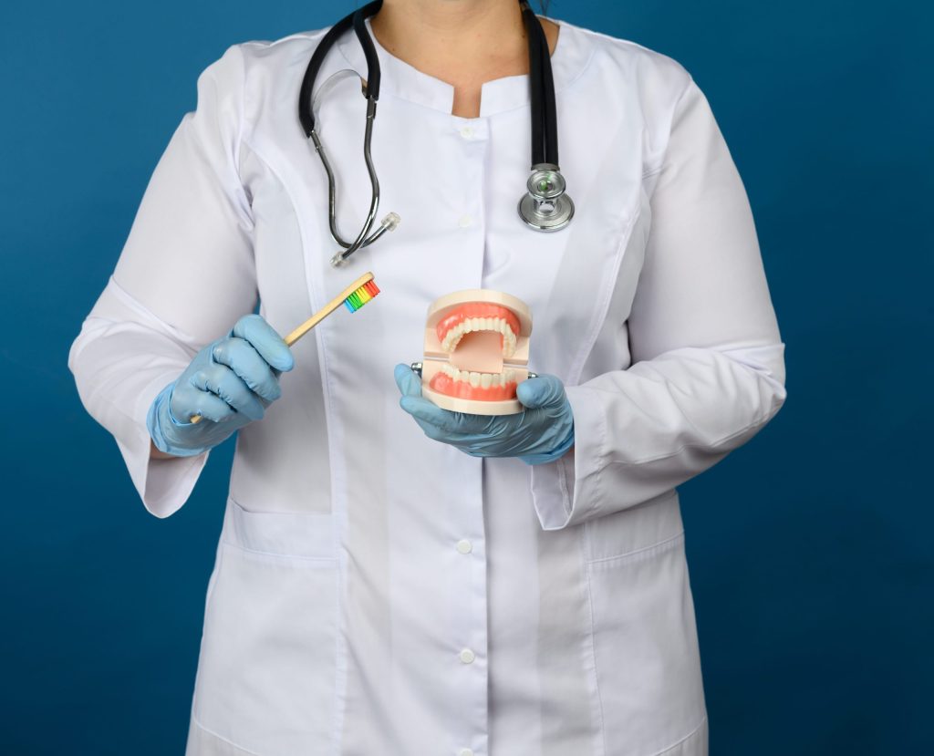 Dentist showing a patient a toothbrush and a teeth model