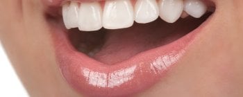 Diferentes tipos de dientes y sus funciones
