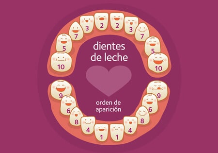 orden de salida de los dientes de leche