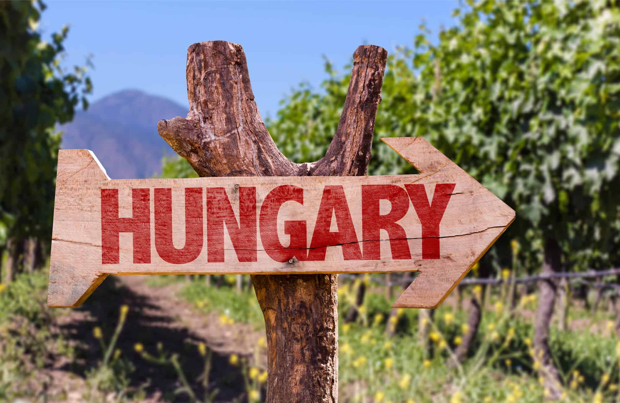 turismo dental en Hungría