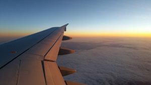 flying for dental work
