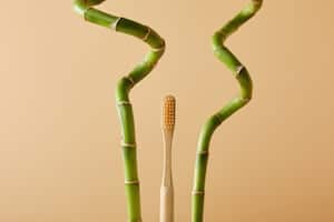 eco-friendly toothbrush