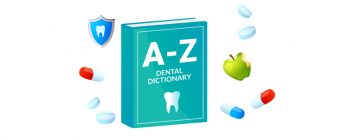 dental terminology dictionary