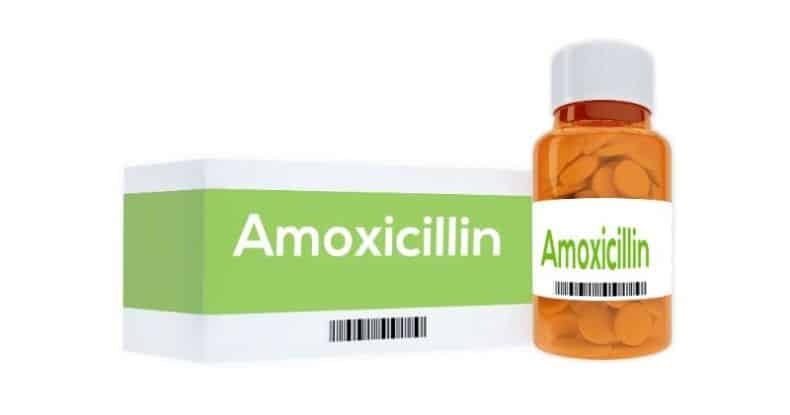 How Long Does It Take Amoxicillin To Stop Tooth Pain? - Dentaly.org