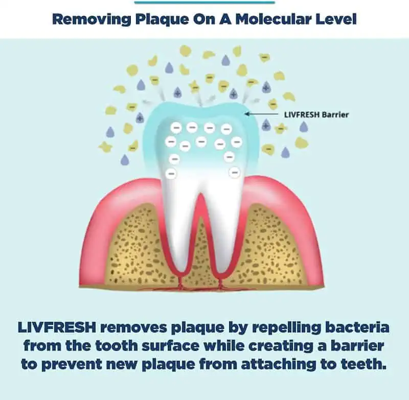 LIVFRESH Toothpaste Reviews Does the Dental Gel Work?