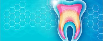 dental stem cells