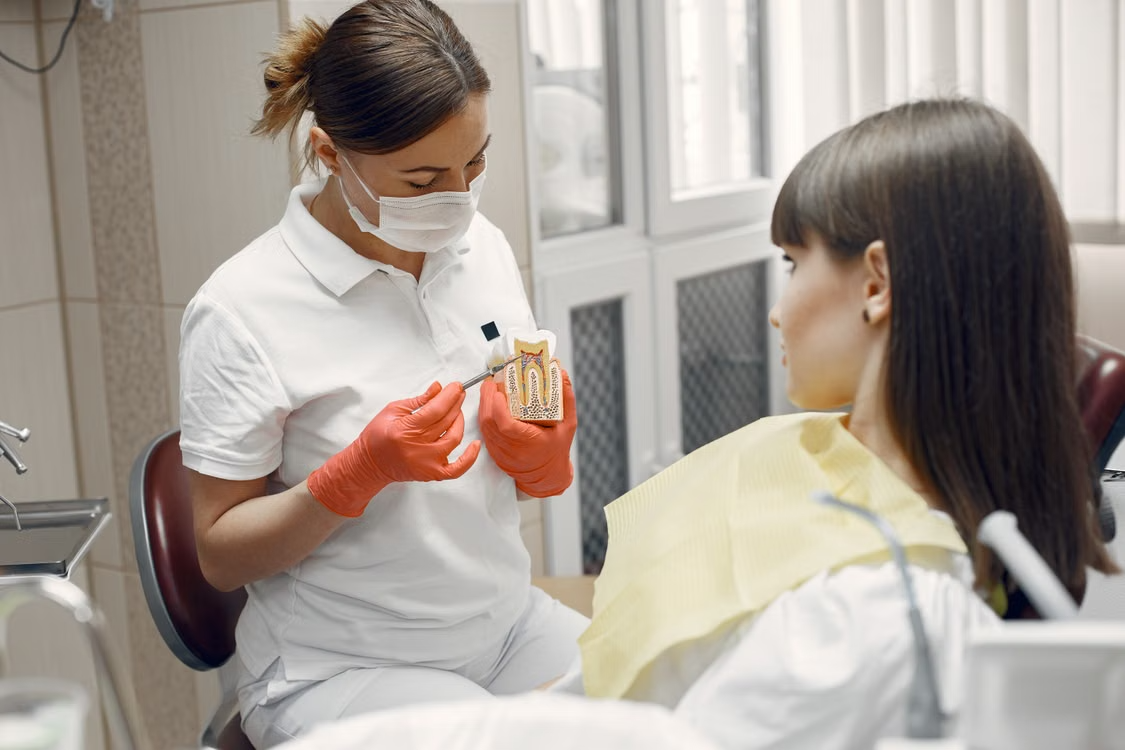 Dentist showing a patient a tooth implant model