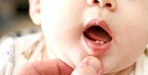 premières dents de bébé