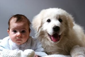 bébé et chiot